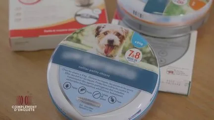 L'acétamipride, un pesticide présent dans les colliers antipuces des chiens ? "Complément d'enquête" a remonté l'itinéraire d'une fake news