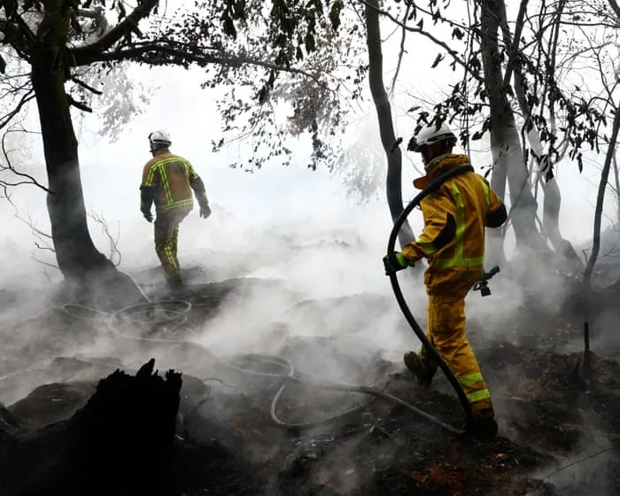 Without action wildfires in Europe will increase 39% even in best-case climate scenario, study finds