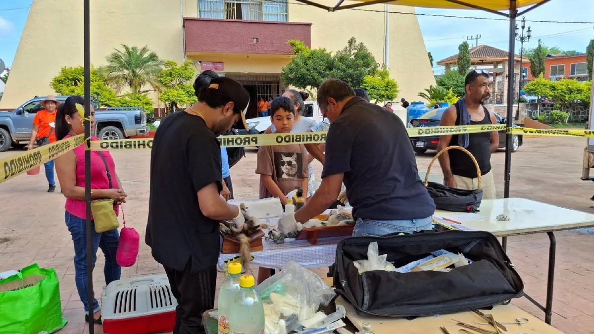 Suspenden jornadas de esterilización animal en Huautla, Hidalgo, tras denuncias por falta de higiene