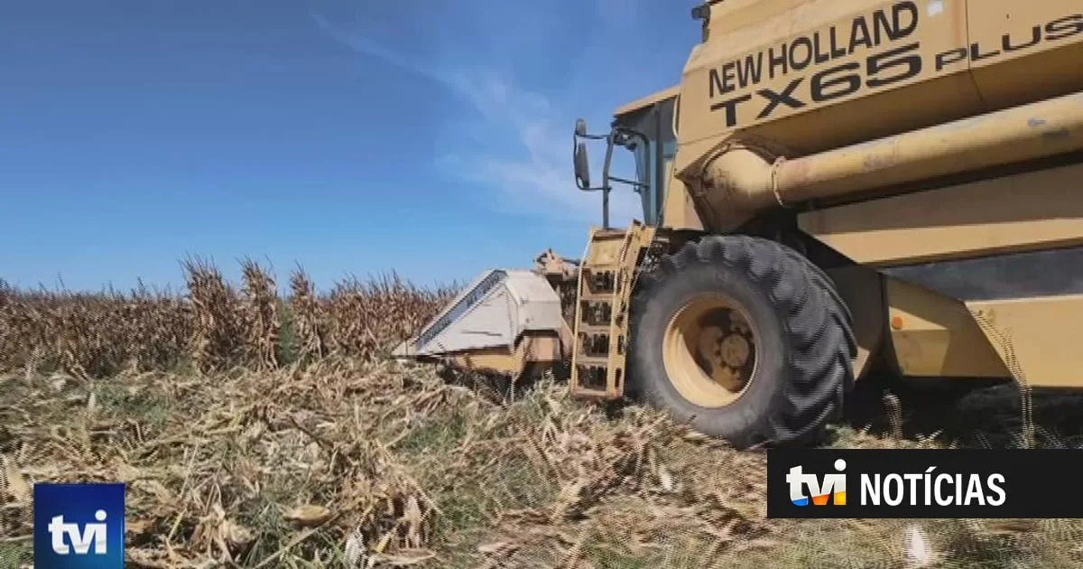Apoios do Governo aos agricultores sabem a pouco no mundo rural