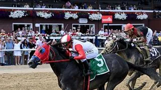 Breeders’ Cup: Javier Castellano busca el récord histórico en el Vosburgh Stakes (G3)
