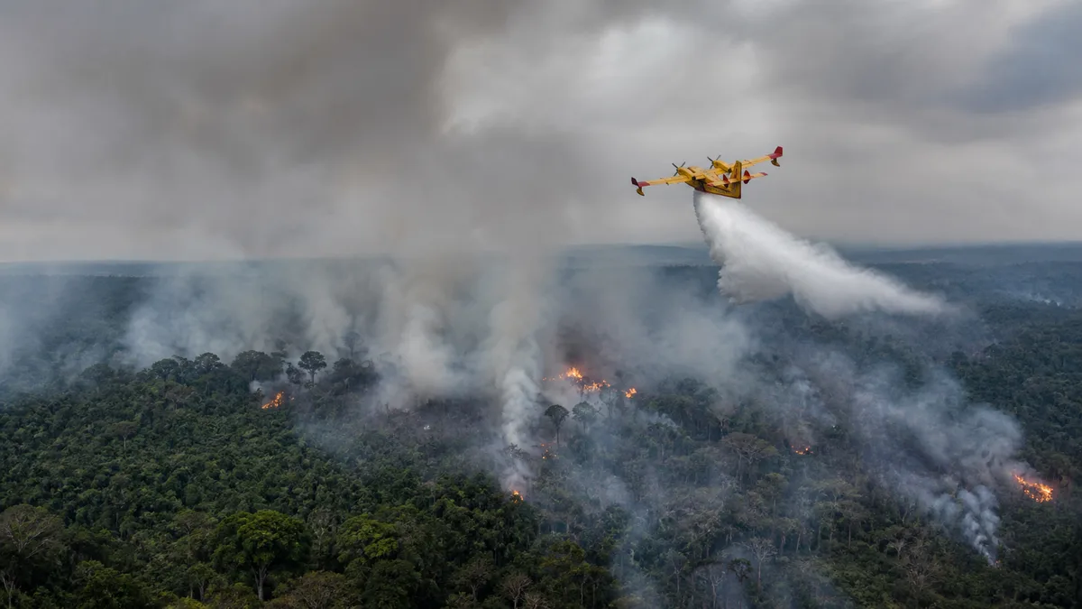 Emergência no Amazonas libera apoio federal contra queimadas