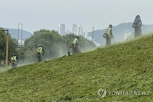 충북 흐리고 5∼10㎜ 비…낮 최고 29도