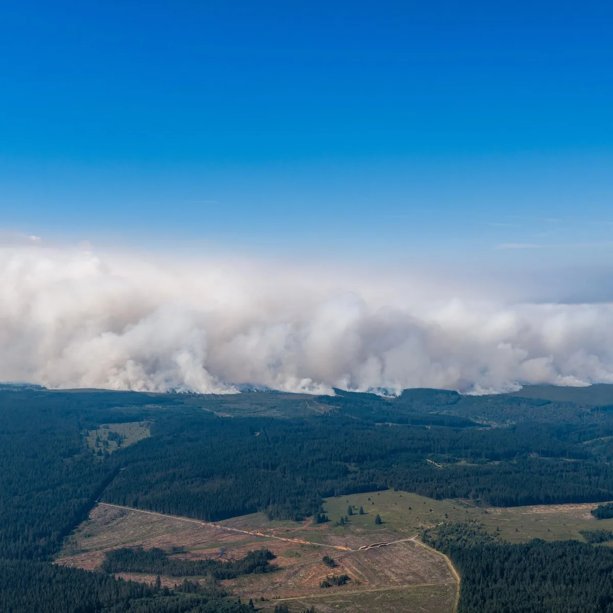 Belgien - Brand im Hohen Venn teilweise unter Kontrolle - Behörden in Monschau geben vorerst Entwarnung