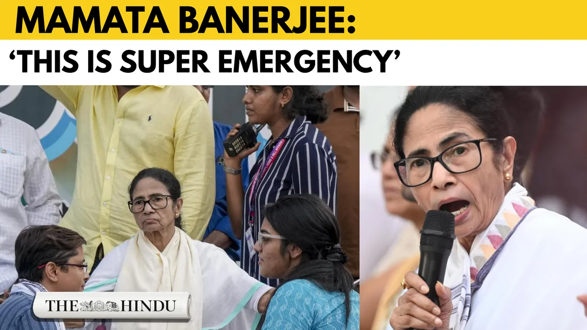 Watch: Delhi police detain Mamata Banerjee near CJP Jantar Mantar protest