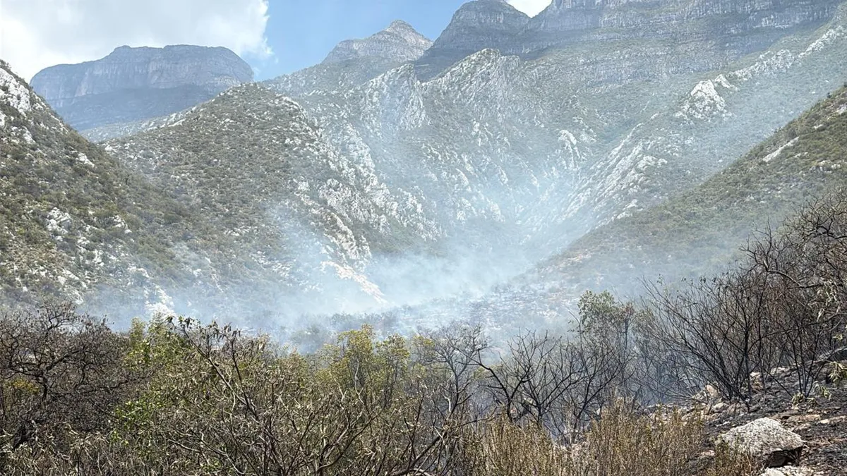 Combaten incendio forestal en el Cerro de las Mitras en Nuevo León