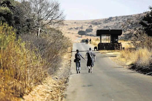 Gauteng opens its largest nature reserve to private operators