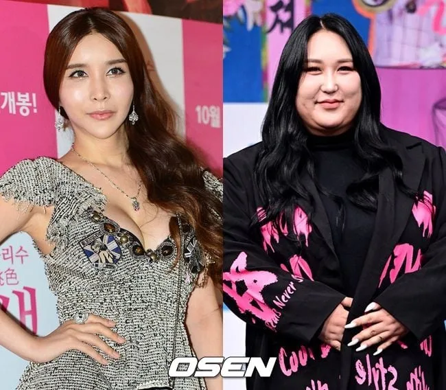 하리수·풍자 또 눈물..성 생활·노출 요구에 무례한 질문까지, 고충 재조명 [핫피플]