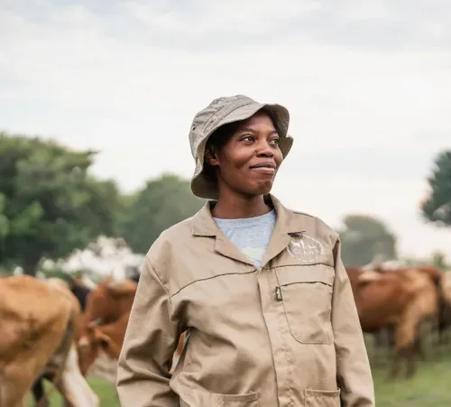 Wilderness and CLAWS Conservancy win global stewardship award for Africa's first wildlife-friendly beef