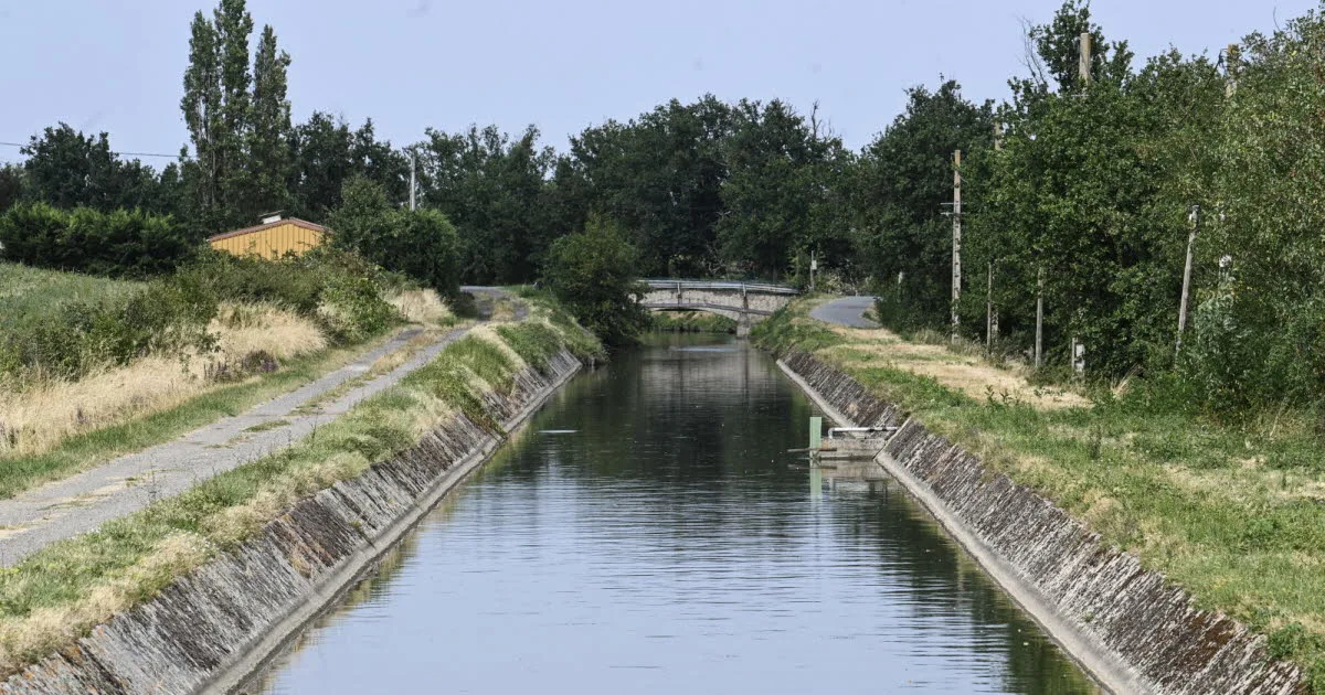 Loire. Irrigation, eau potable : comment le Canal du Forez a évité la catastrophe