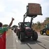 Agricultores concentram-se no Parlamento para exigir medidas de apoio