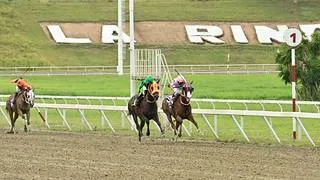 Comisarios del INH suspenden por seis semanas a jockey profesional en La Rinconada