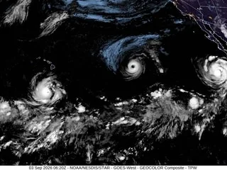 Trois cyclones en même temps dans le Pacifique, un phénomène rare favorisé par El Niño