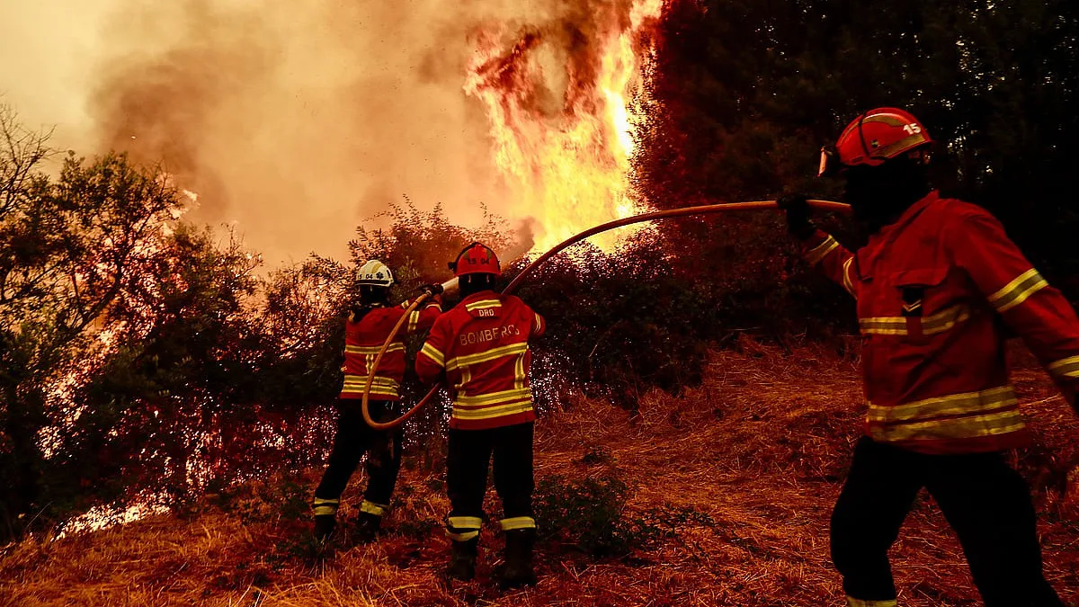Mais de mil bombeiros combatem quatro fogos na região Norte
