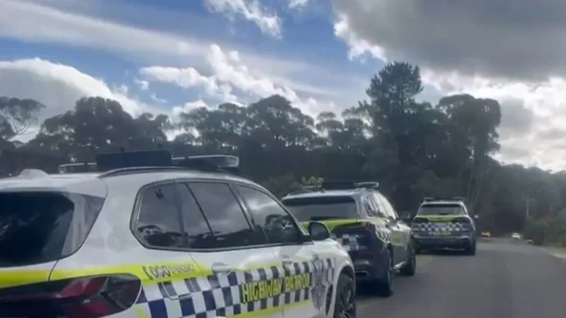 Toddler dies after being hit by car
