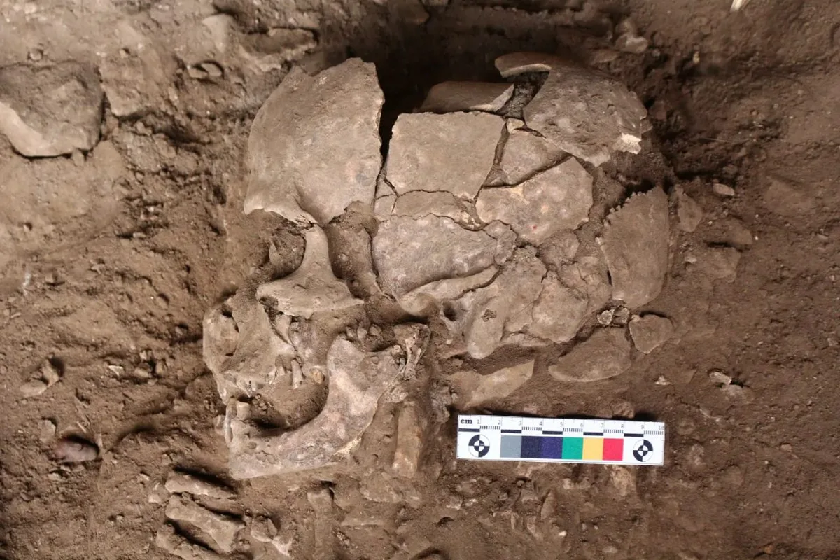 Restos de cavernícolas revelan que consumíamos drogas psicoactivas milenios antes de lo esperado