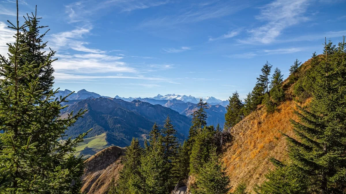 In der Schweiz - Hier fährt man „oben ohne“ auf den Berg