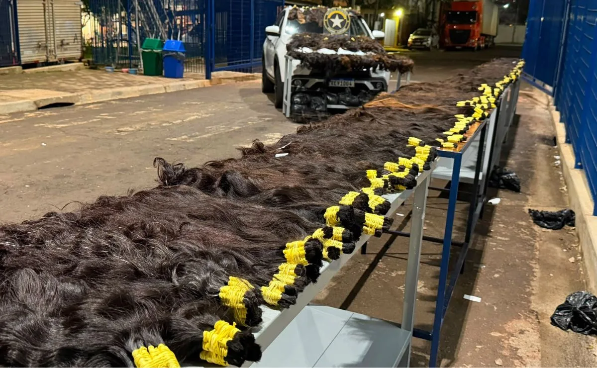Nem a Rapunzel tinha tanto! Carga de R$ 1 milhão em cabelos humanos é apreendida no Paraná