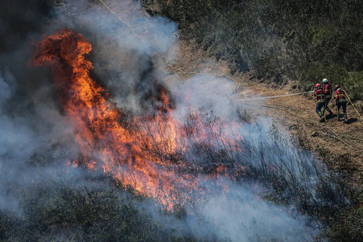 Menor de 13 anos suspeito de atear três incêndios florestais em Tábua