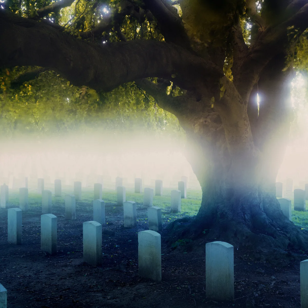 Why I’ve Spent My Summer Haunting Cemeteries