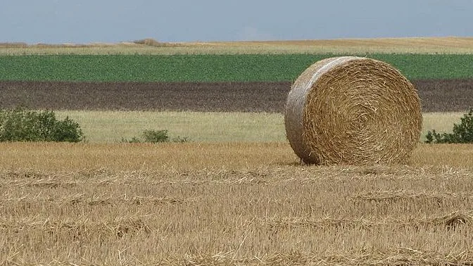 À la veille de l'annonce du plan d'aide aux agriculteurs, le gouvernement le reporte au vu des "montants conséquents" qu'il implique
