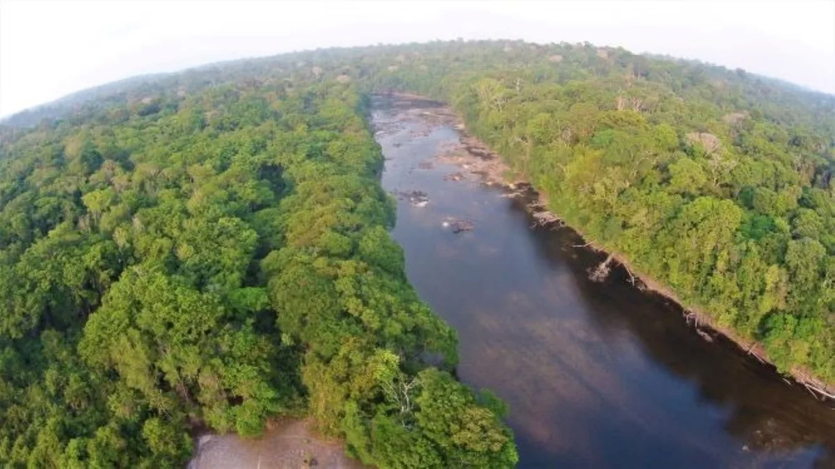 Quatro pessoas desaparecem em floresta de difícil acesso no Amapá