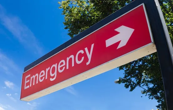 Coach carrying German high school pupils crashes in the Netherlands