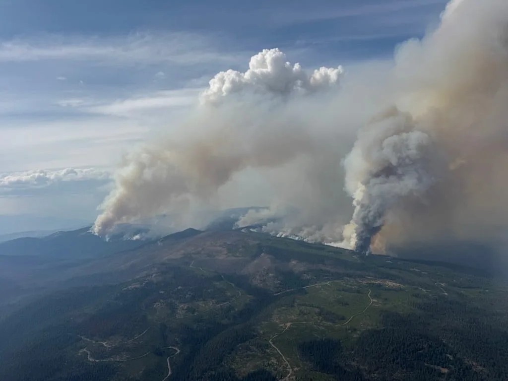 Wildfires disrupt B.C. wineries’ peak tourism season, cause financial strain