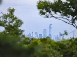 Rede ist nicht erwünscht: Trump zum 25. Jahrestag des 9/11-Anschlags nicht in New York