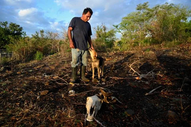 Au Honduras, le “bombardement de nuages” pour faire tomber la pluie