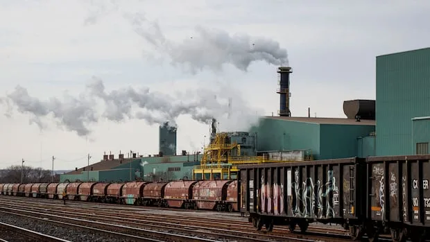 Hamilton steelworkers union, business leaders warn of harder times ahead as Ford promises tariff relief