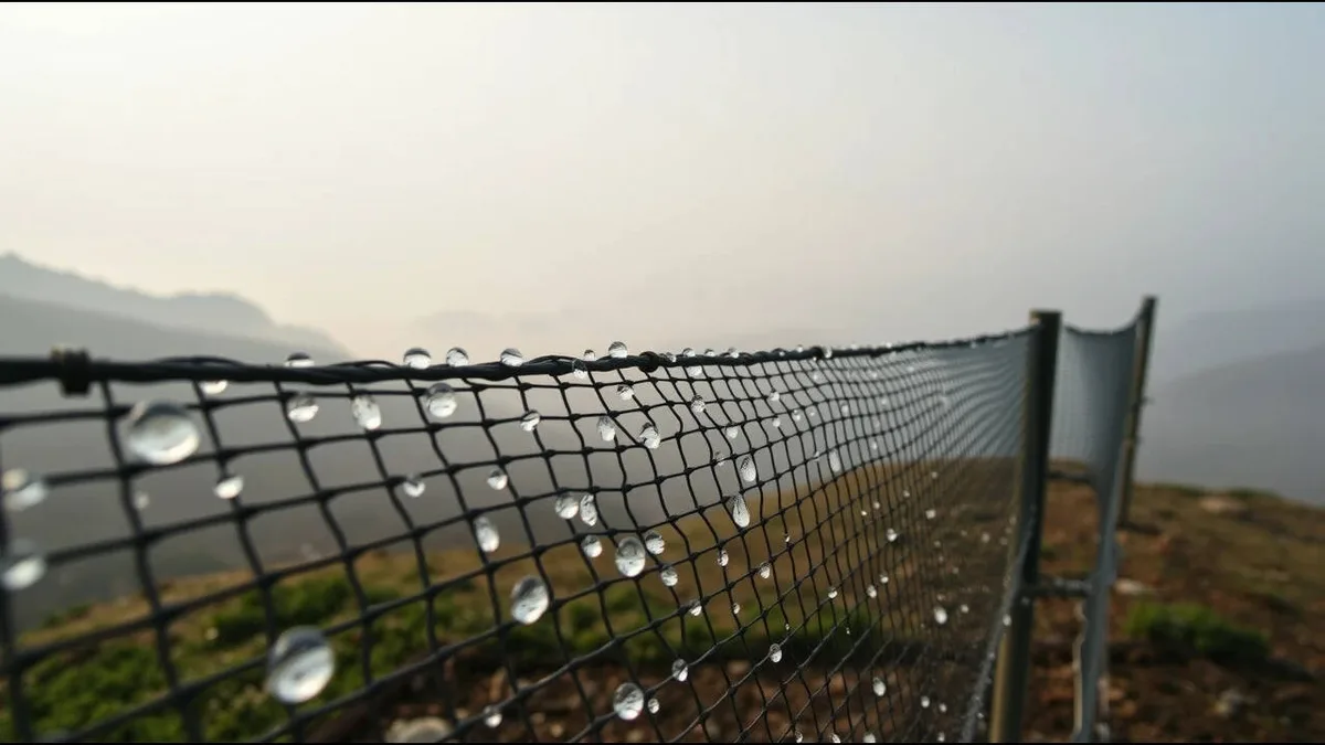 Fog Nets Supply Freshwater: Moroccan project turns mountain fog into piped water