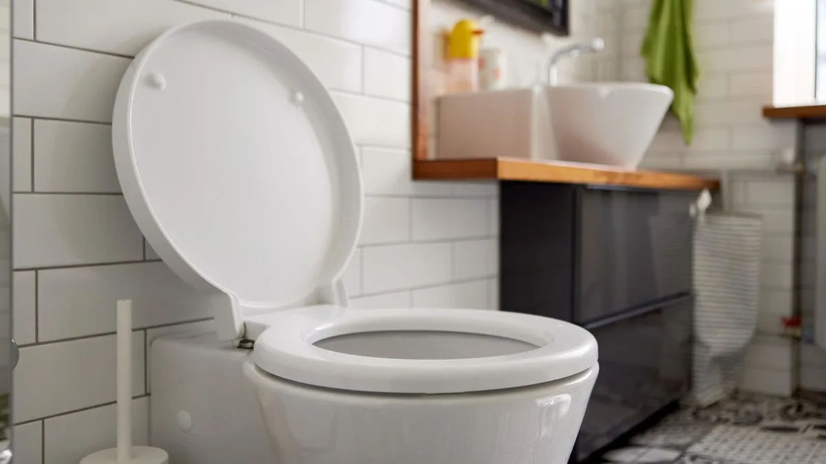 Life-Hack: Wie ausgerechnet ein Becher Salz das Putzen der Toilette erleichtert