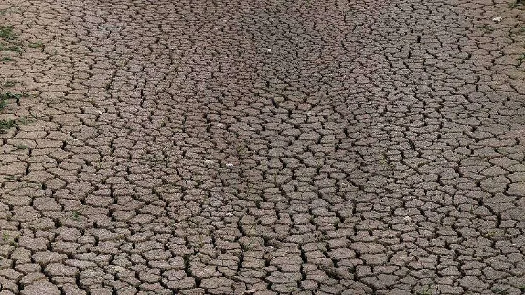 Almost 8,000 excess deaths in France's hottest summer since 1900