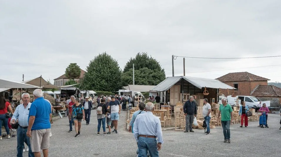 TONDELA: Feira Semanal muda-se para perto da Câmara Municipal durante um mês