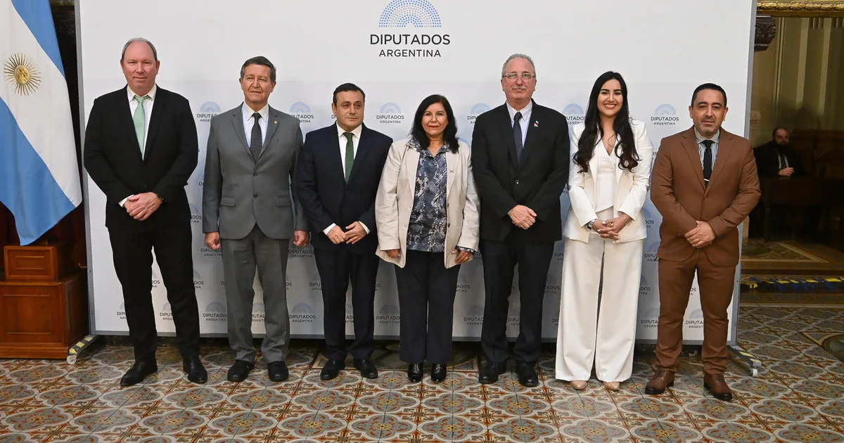 Misioneros y salteños toman distancia de Milei y presentaron su nuevo bloque: Argentina Federal