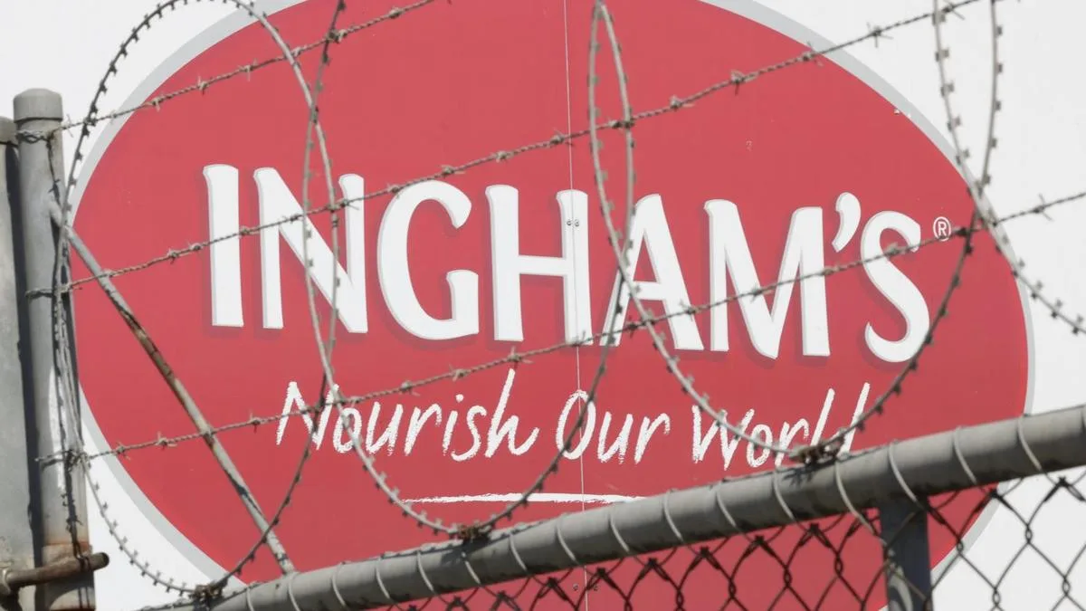 Bird flu ‘obviously’ will hit Ingham’s, chief executive says