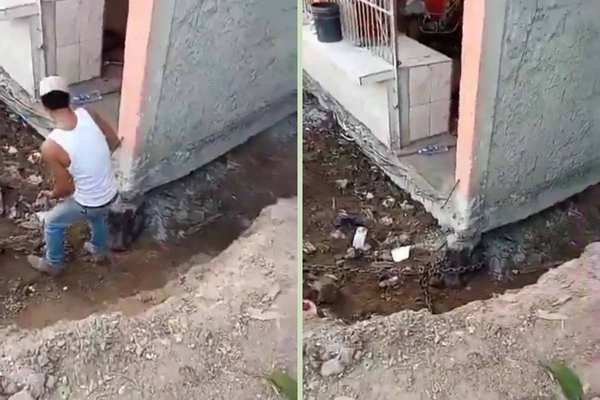 Solo en Venezuela: La maniobra que sorprendió a todos para mover una casa completa en Urama (VIDEOS)