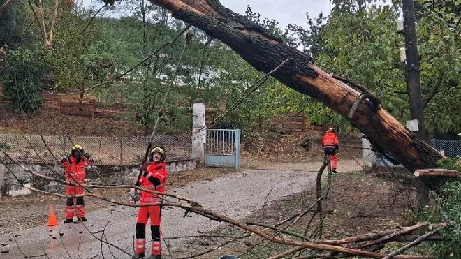 ES-Alert en Catalunya, cómo proteger sin paralizar
