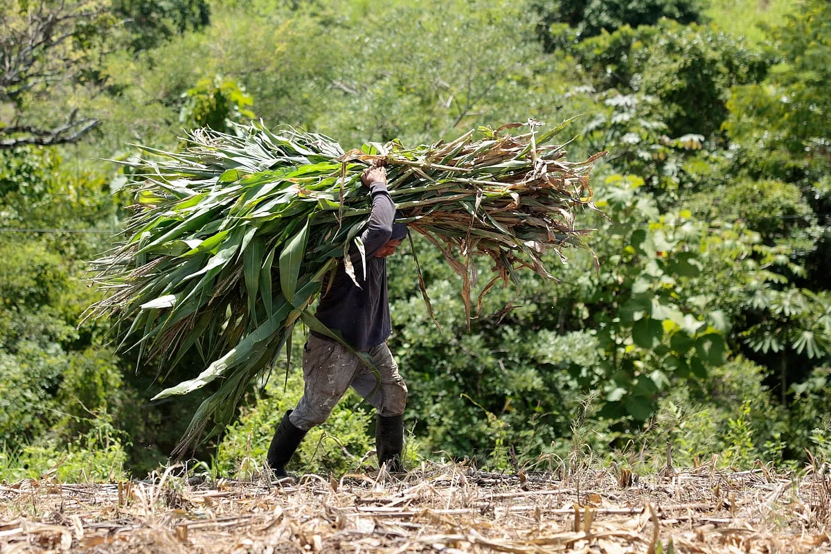 Alerta vermelho. Equador antecipa chegada do El Niño