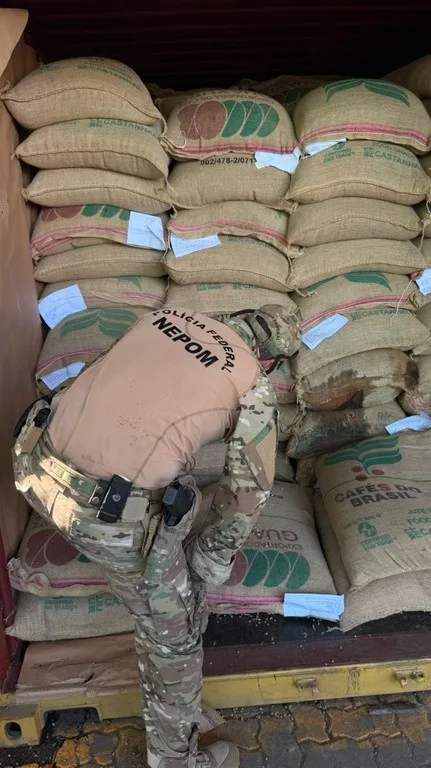 Apreensão de 700 kg de cocaína no Porto de Santos mobiliza PF