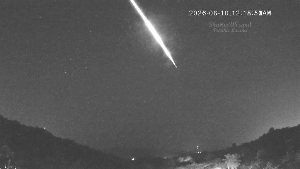 Chuva de meteoros Perseidas: veja imagens ao redor do mundo