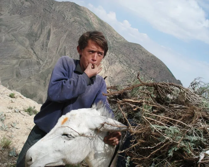 25 Years in Afghanistan review – the extraordinary life of an optimist