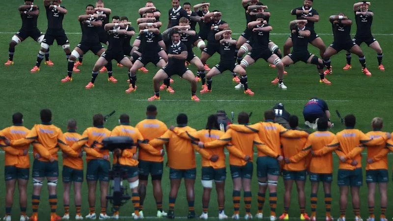 Will the Wallabies win the Bledisloe Cup again?