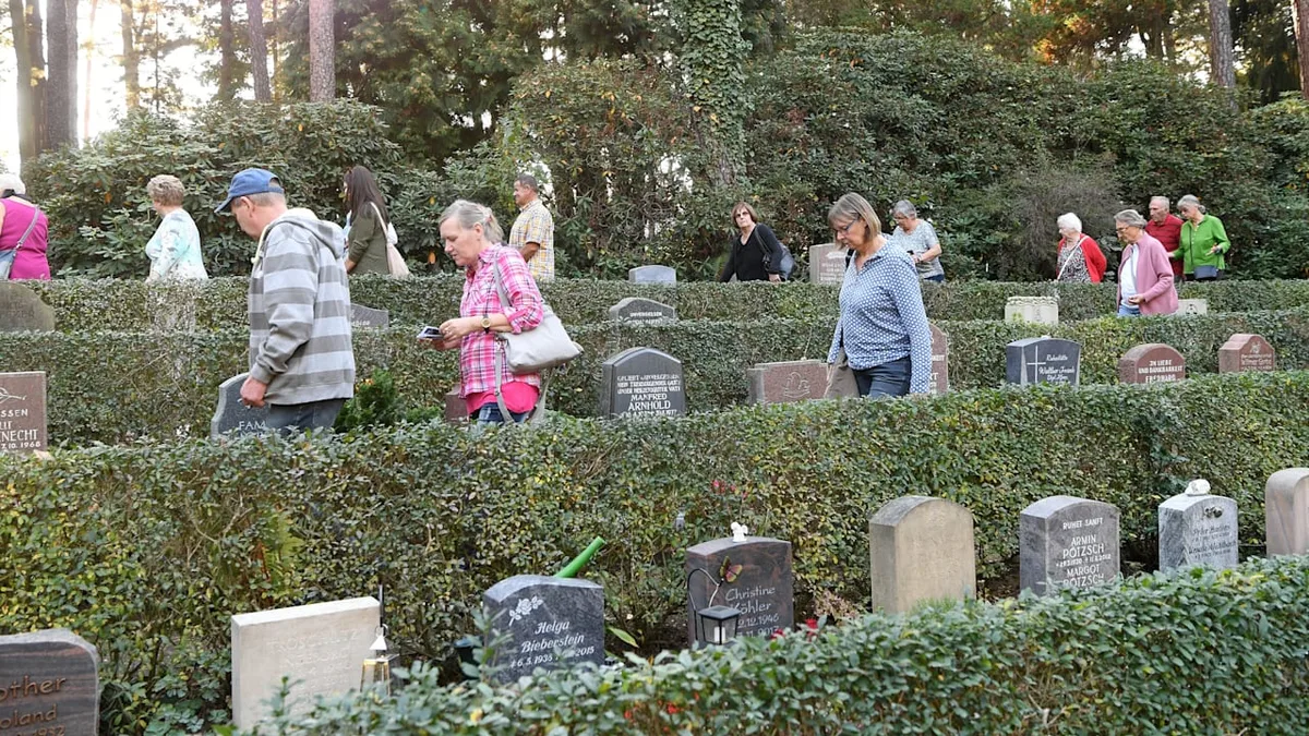 Friedhofsgärtner-Chef findet es gut - Darf ich jetzt Pilze auf dem Friedhof sammeln?