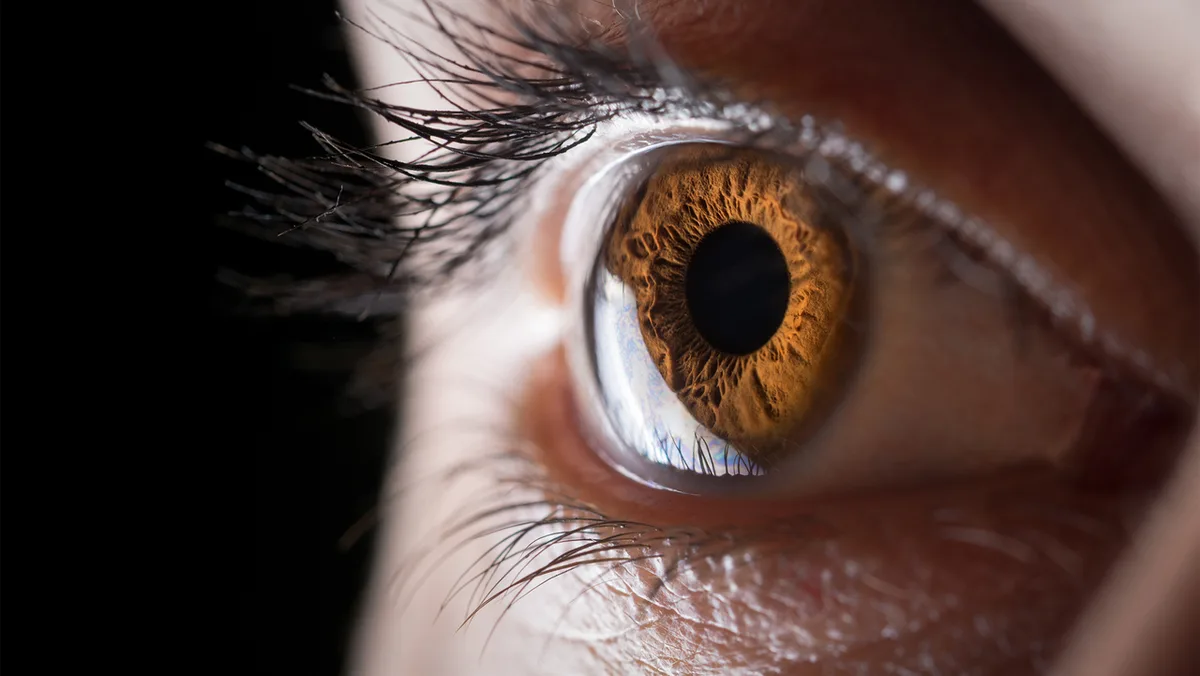 Meet the scientists 3D printing corneas to restore people's vision, potentially filling a worldwide shortage of transplantable tissue