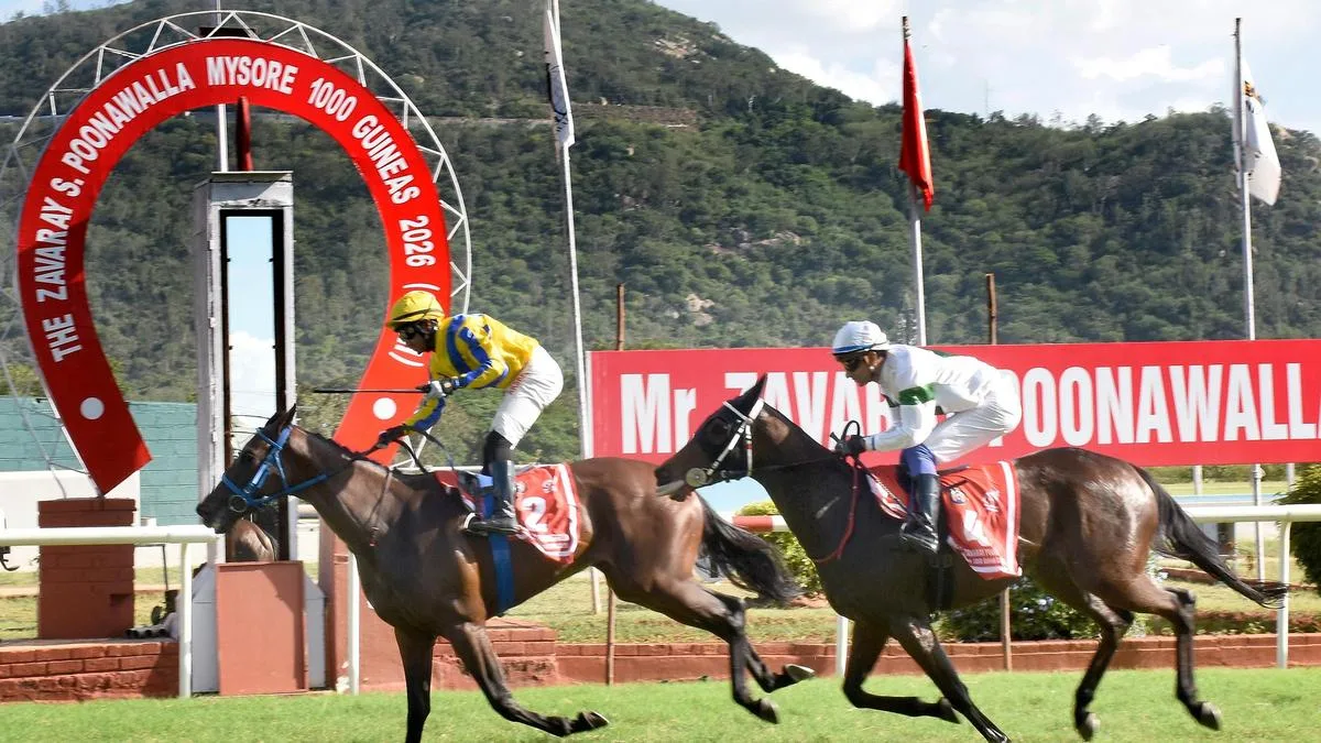 Royal Legacy wins Zavaray S. Poonawalla Mysore 1000 Guineas