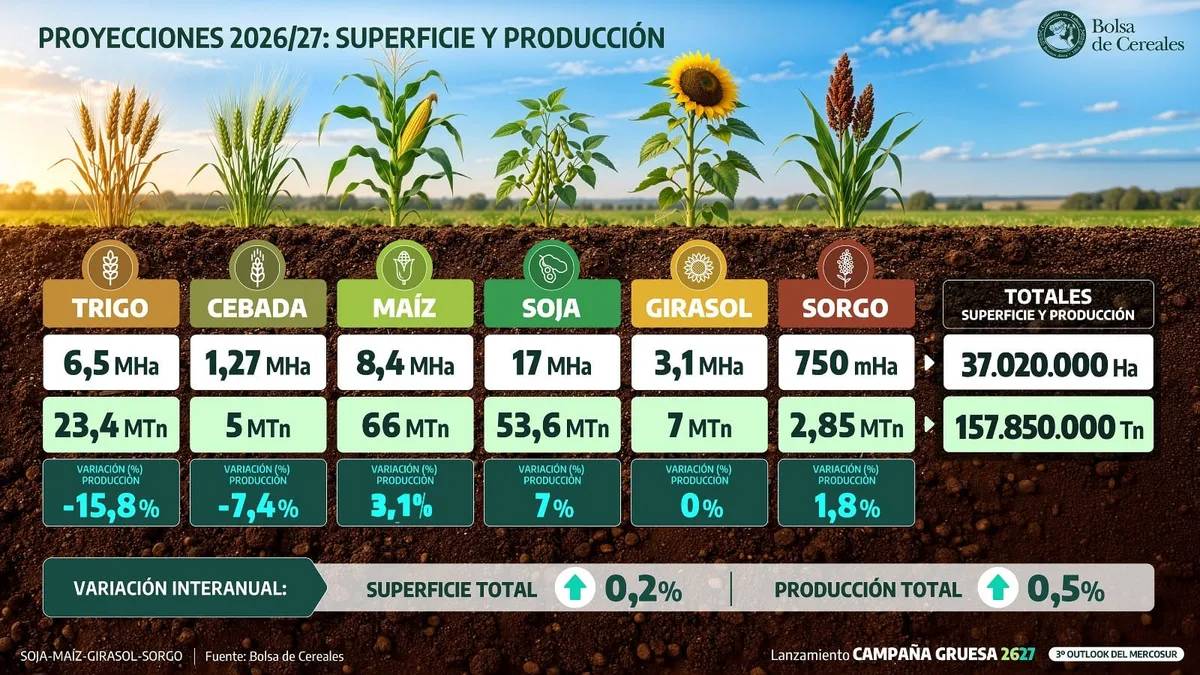 El campo argentino va por otro récord: proyectan 157,9 millones de toneladas de granos para la nueva campaña
