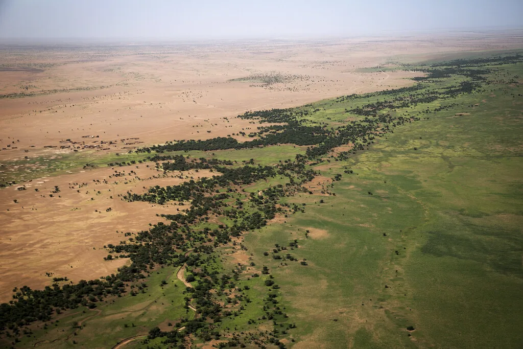 El Sahara está devorando pueblos enteros: África lleva casi 20 años combatiéndolo con una muralla verde de 8,000 kilómetros