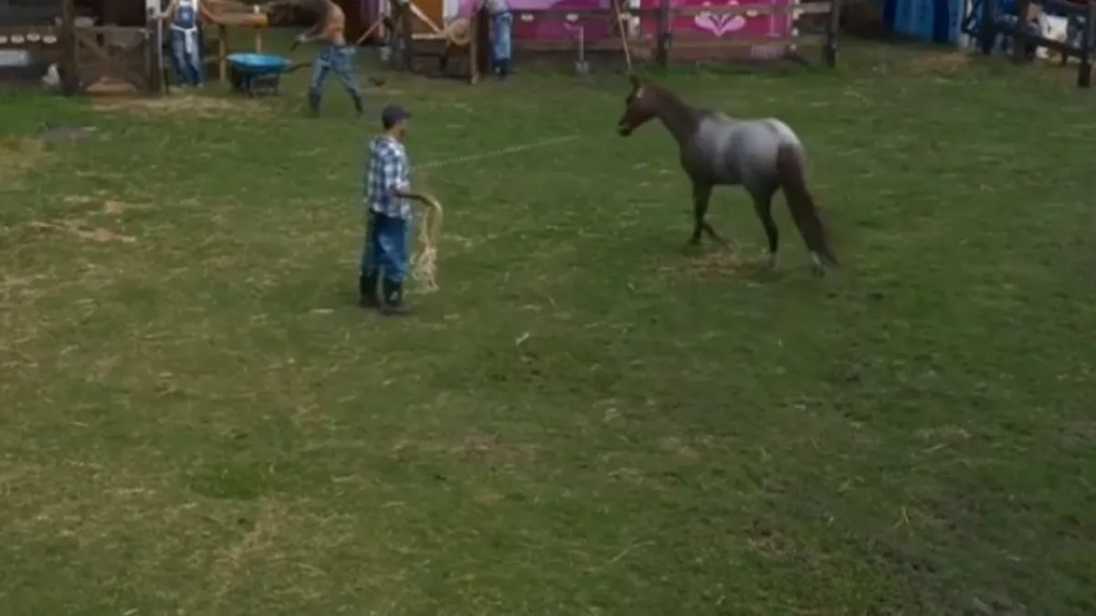 ¿Por qué Pablo Montero hacer trotar a los caballos en la Granja VIP 2? Estos puntos favorecen su bienestar